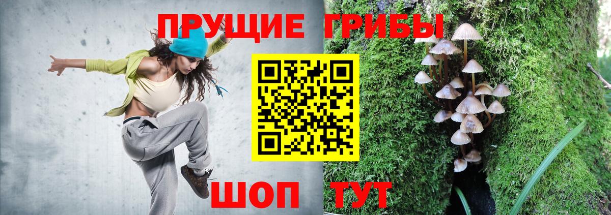 Ревда  Псилоцибиновые грибы Magic Shrooms  Вход с VPN 