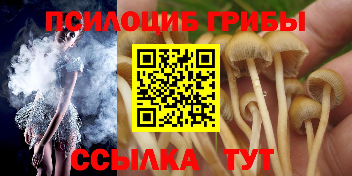 Псилоцибиновые грибы Cubensis Ревда