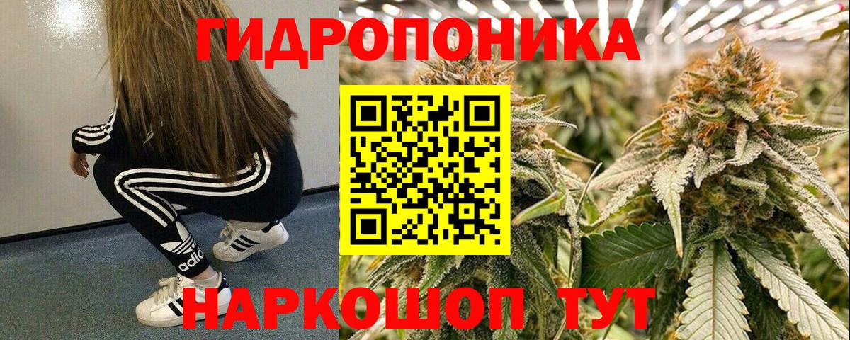 Бошки марихуана сатива Ревда